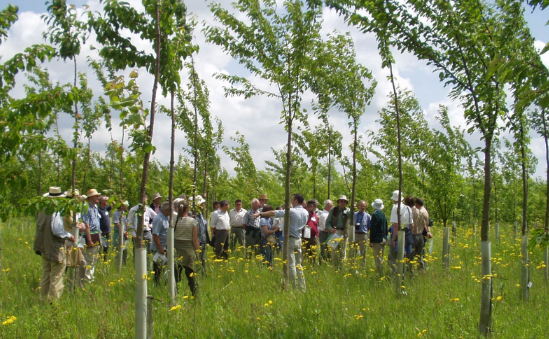 Earth Trust profile image 3